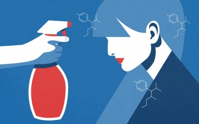 Les perturbateurs endocriniens